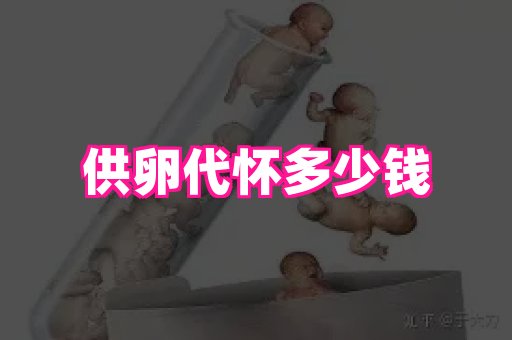 厦门助孕网站 2