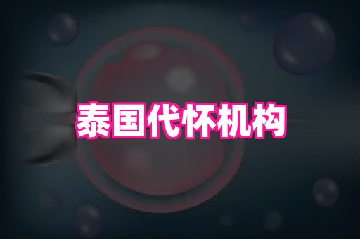 厦门助孕网站 3