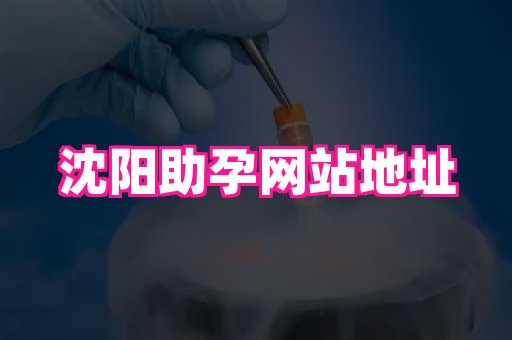 厦门助孕网站 4